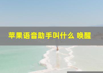 苹果语音助手叫什么 唤醒